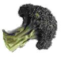 BroCoLi Broccoli symbol 2.jpg